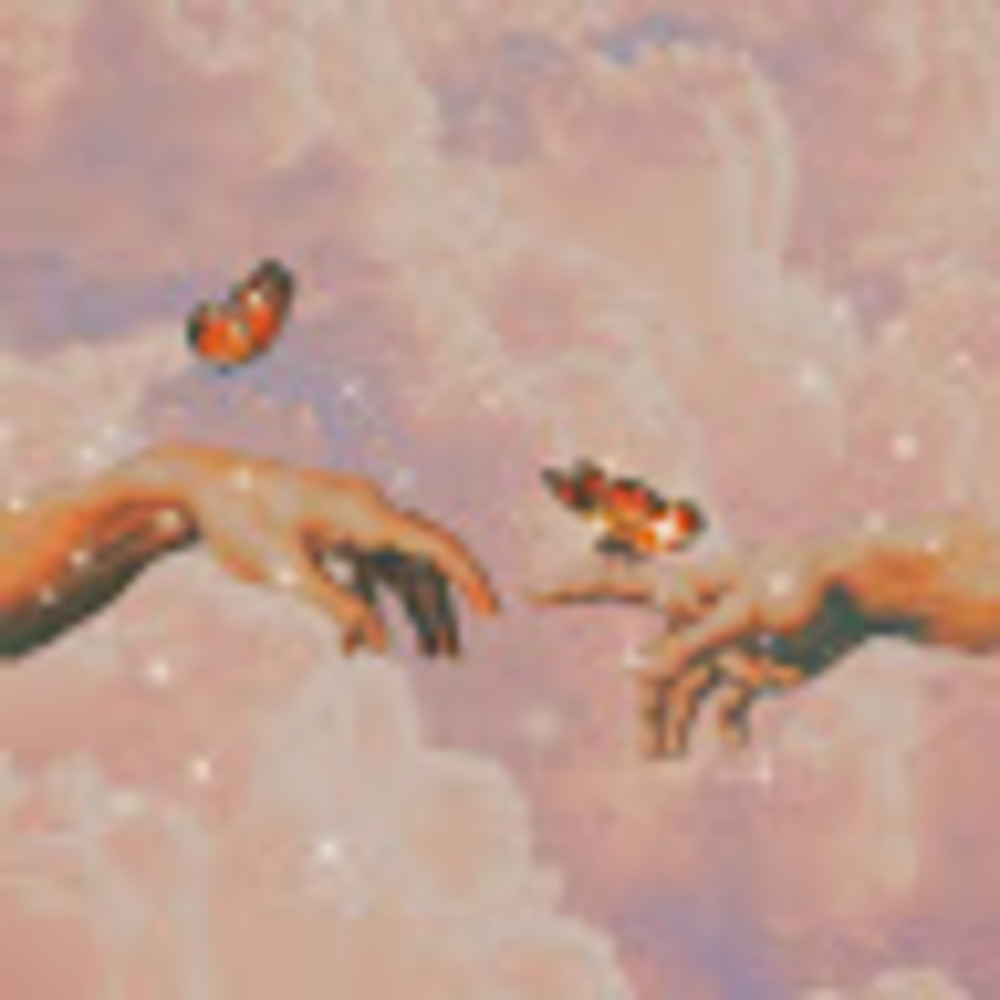 Meet your Posher, Zoya